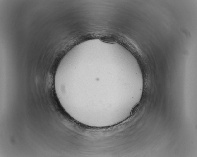 X0000112100025200909011134