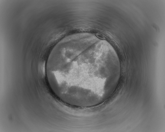 X0000112100028200909011134
