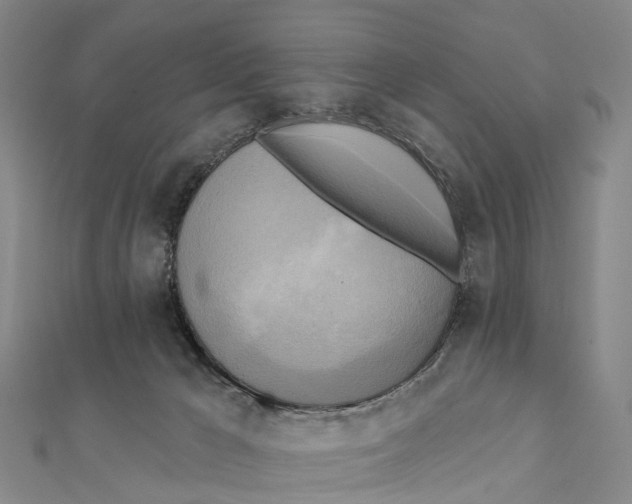 X0000112100029200909011134