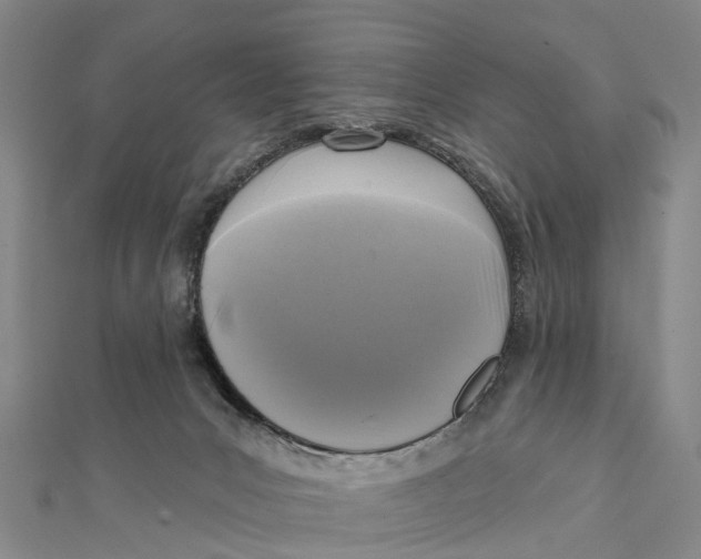 X0000112100031200909011134