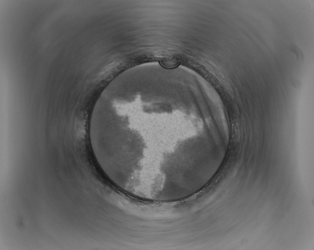 X0000112100032200909011134