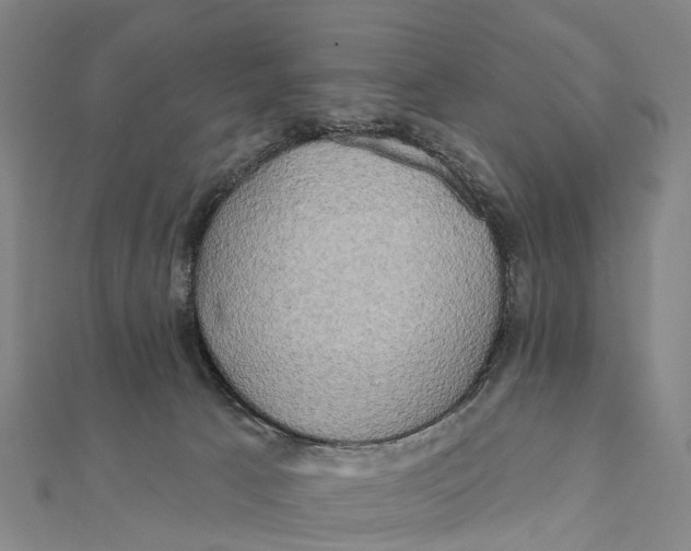X0000112100033200909011134
