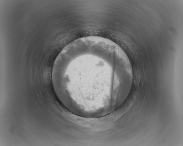 X0000112100034200909011134
