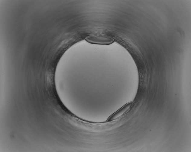 X0000112100035200909011134