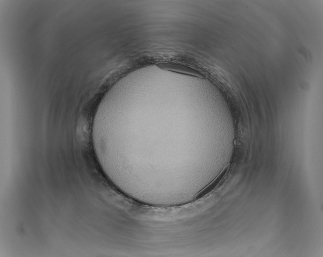 X0000112100037200909011134