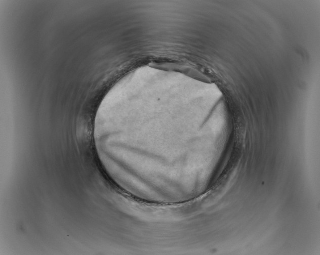 X0000112100040200909011134