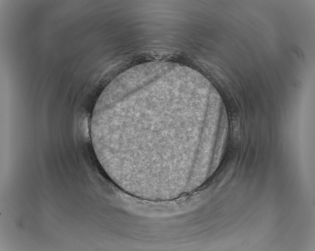 X0000112100042200909011134