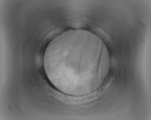 X0000112100043200909011134
