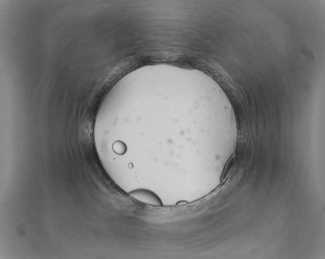 X0000112100045200909011134