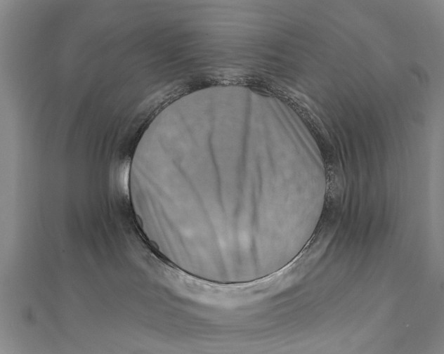 X0000112100047200909011134