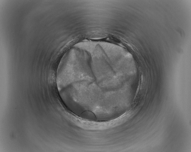 X0000112100048200909011134
