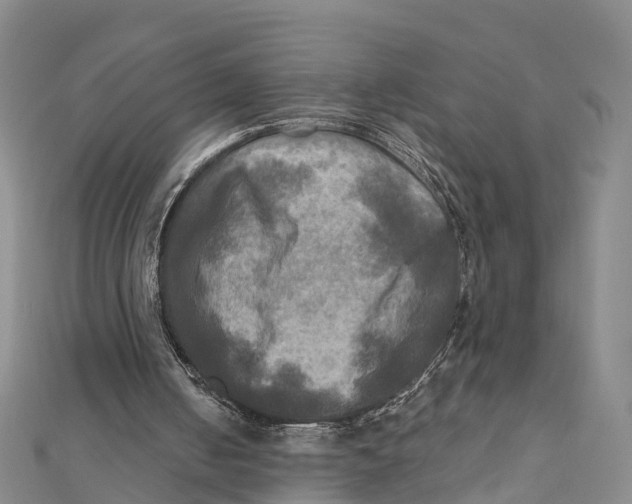 X0000112100050200909011133