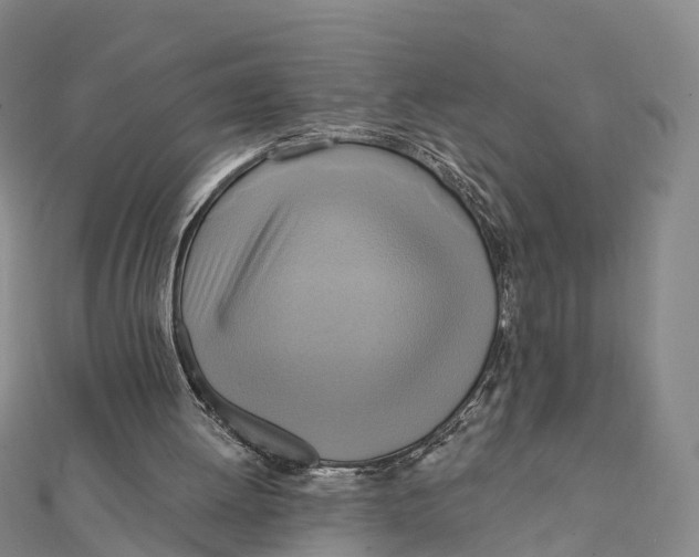 X0000112100052200909011133