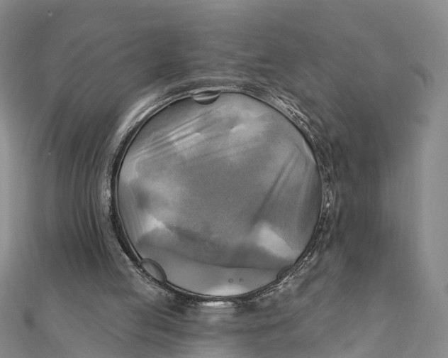 X0000112100053200909011133