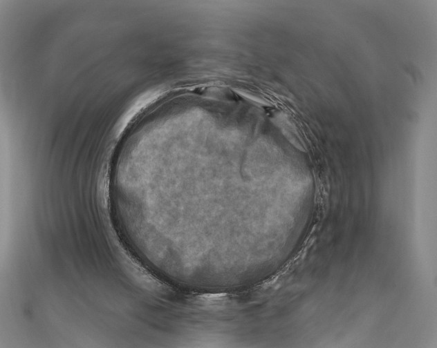 X0000112100054200909011133