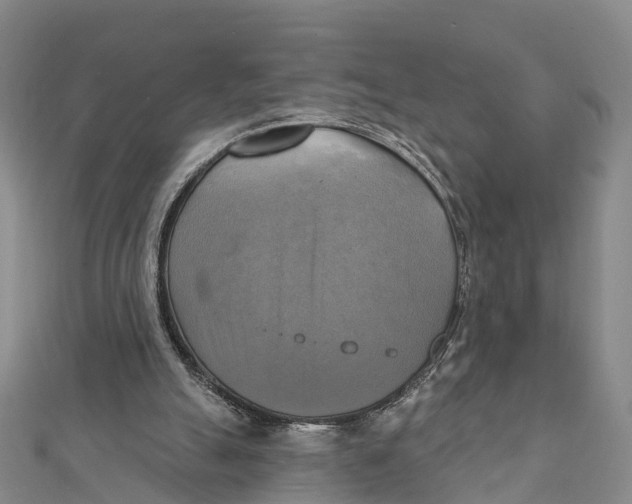 X0000112100055200909011133