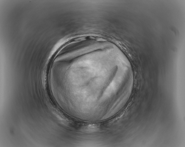 X0000112100056200909011133
