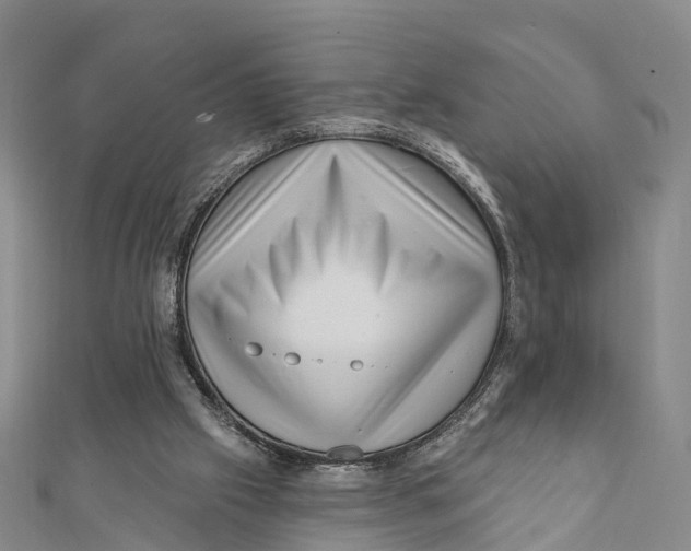X0000112100057200909011133