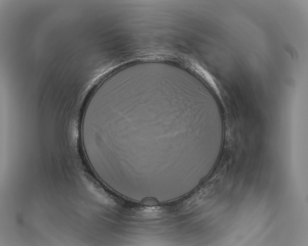 X0000112100059200909011133
