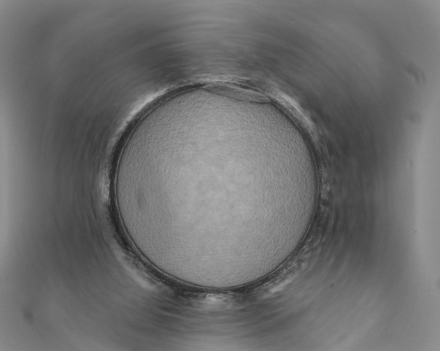 X0000112100060200909011133