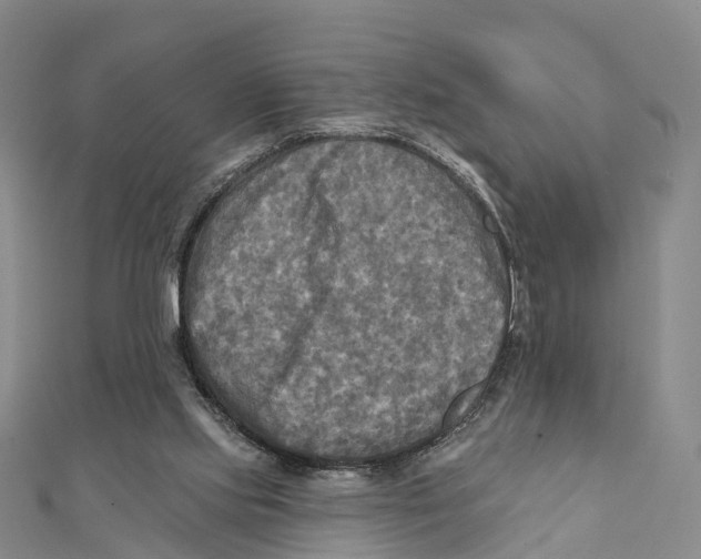 X0000112100061200909011133