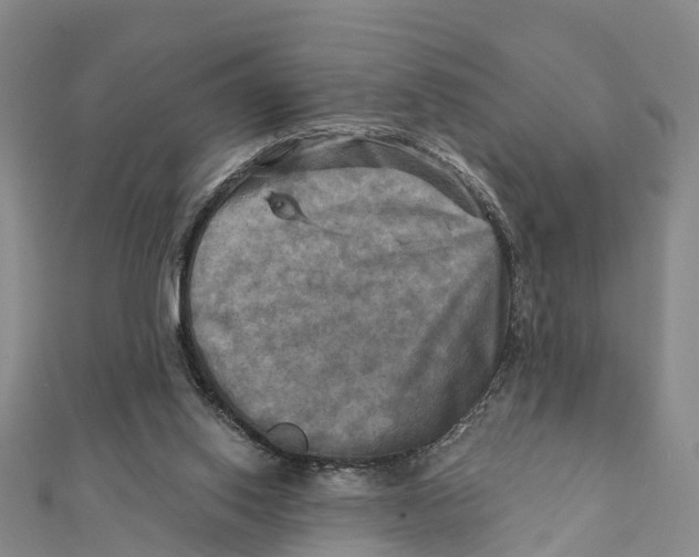 X0000112100062200909011133