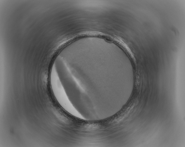 X0000112100063200909011133