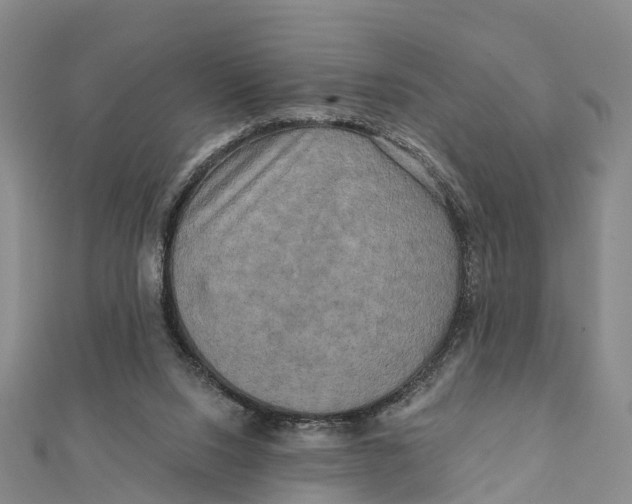X0000112100064200909011133