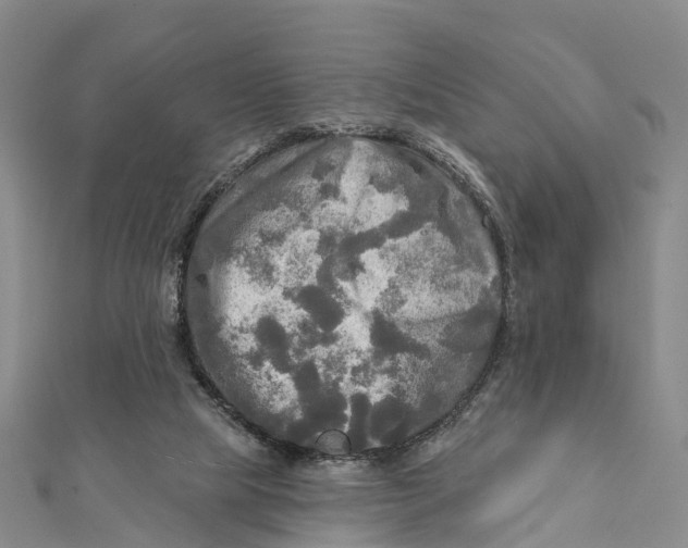 X0000112100065200909011133