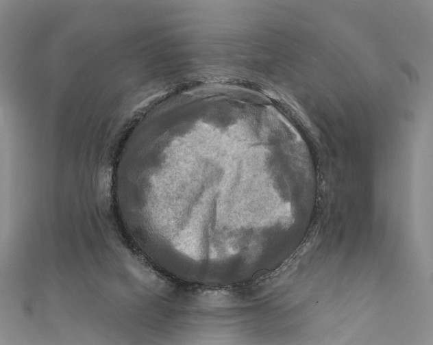 X0000112100066200909011133