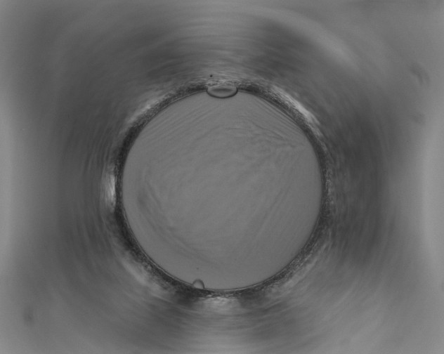 X0000112100067200909011133