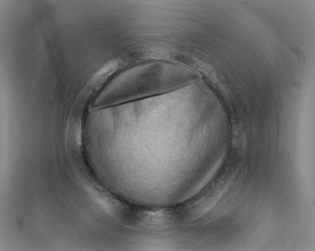 X0000112100068200909011133