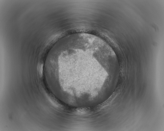 X0000112100070200909011133