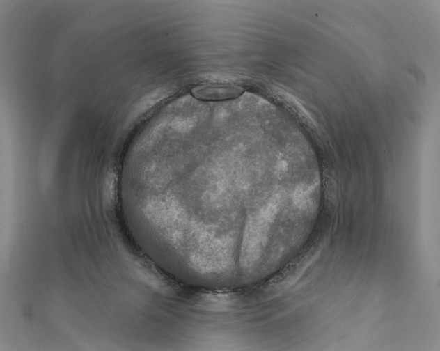 X0000112100071200909011133