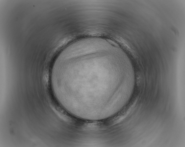 X0000112100072200909011133