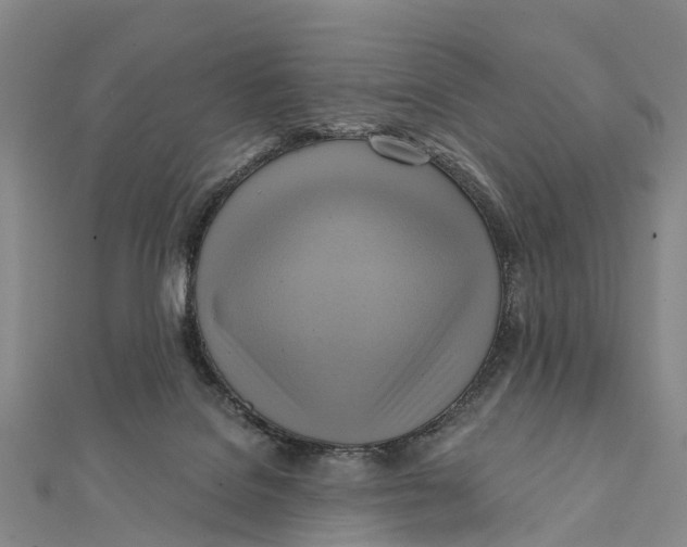 X0000112100076200909011133