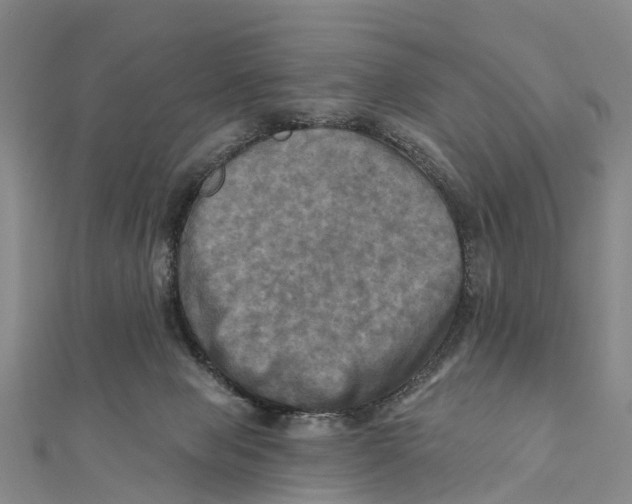 X0000112100077200909011133