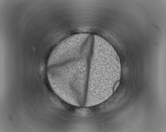 X0000112100079200909011133