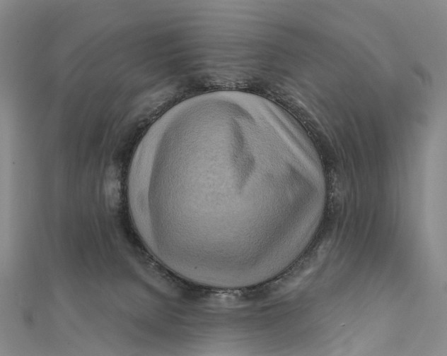 X0000112100080200909011133