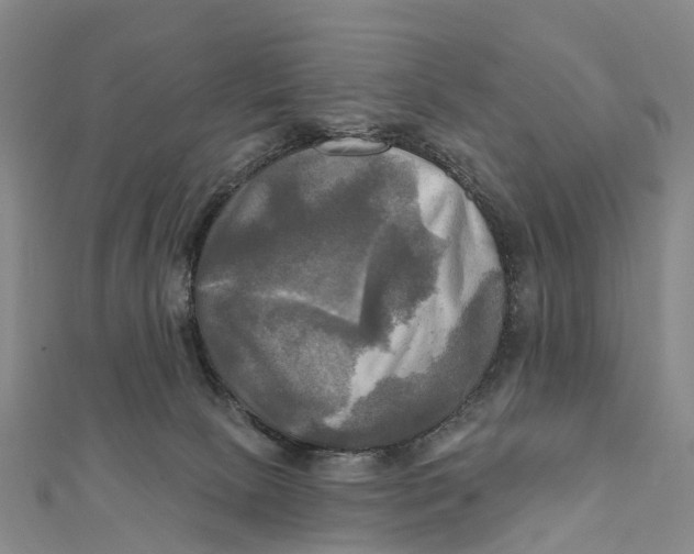 X0000112100081200909011133