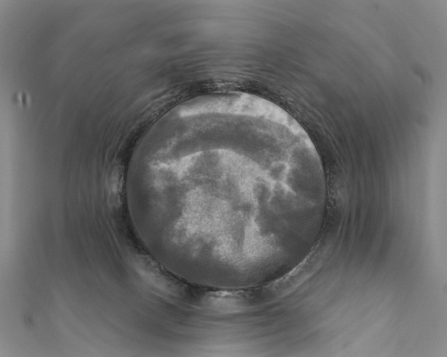 X0000112100082200909011133