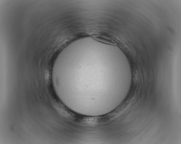 X0000112100084200909011133
