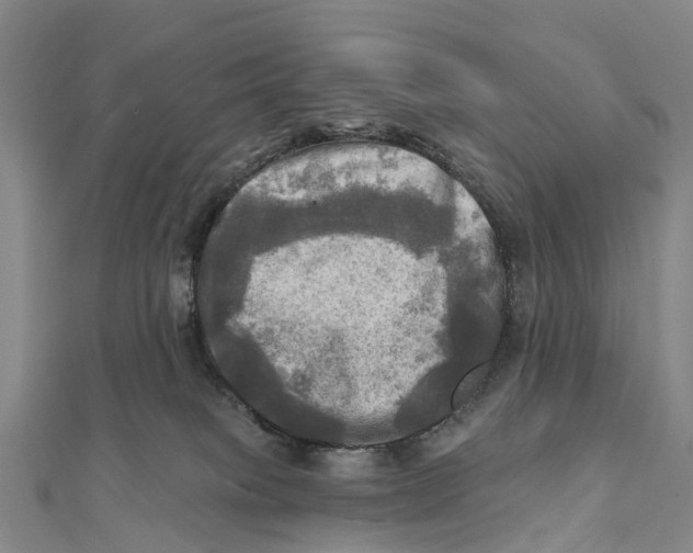 X0000112100085200909011133