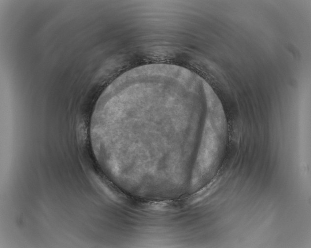 X0000112100086200909011133