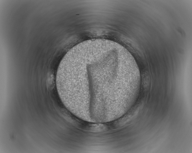 X0000112100087200909011133