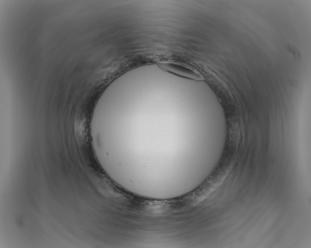 X0000112100088200909011133