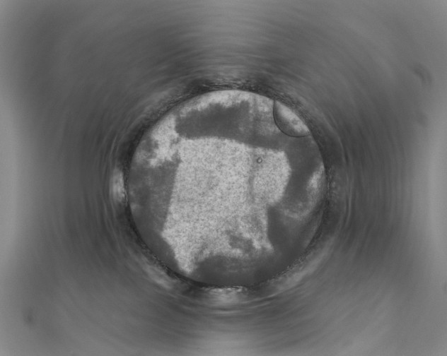 X0000112100089200909011133