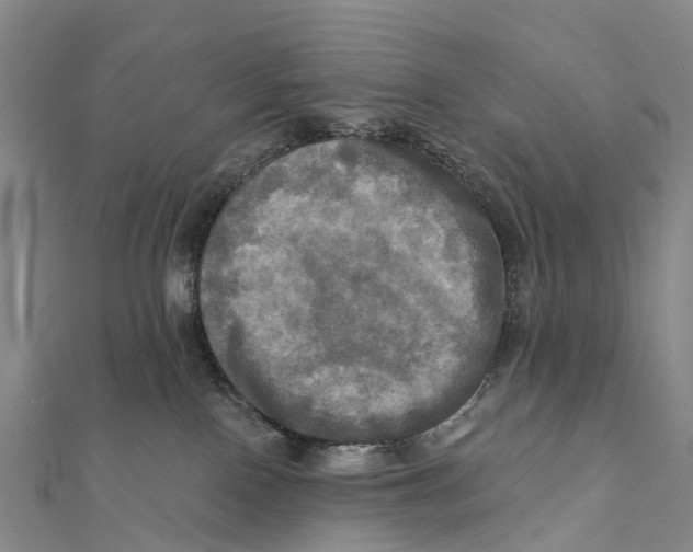 X0000112100090200909011133