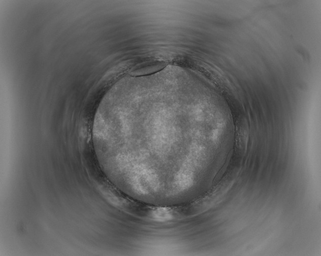 X0000112100091200909011133