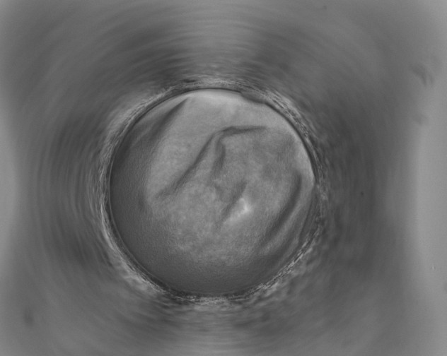X0000112100097200909011133